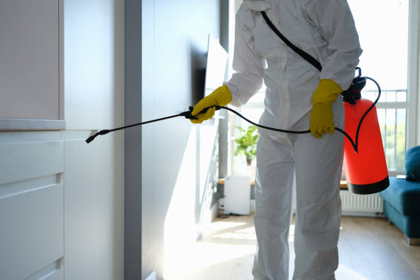 Best Home Mold Removal  in Wyoming, IL