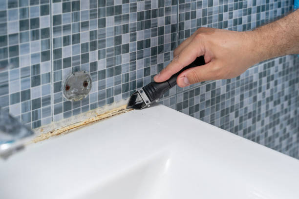 Best Fast Mold Removal  in Wyoming, IL